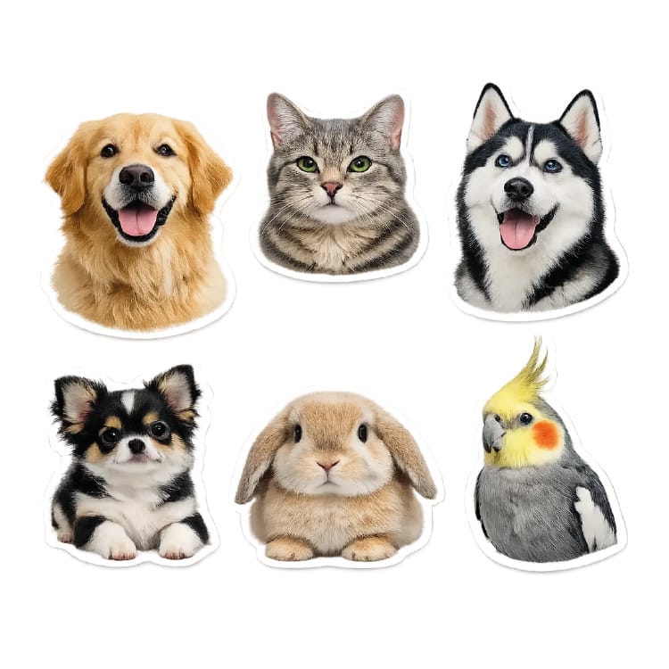 Stickers Troquelados de Mascotas Portada